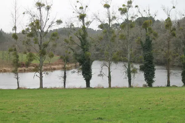 Isolation Extérieure Pro Isolation par l'extérieur Muzillac